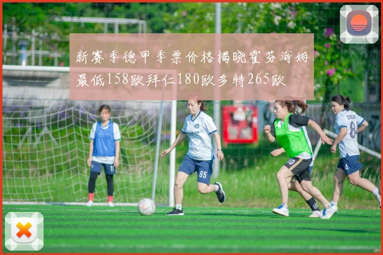 新赛季德甲季票价格揭晓霍芬海姆最低158欧拜仁180欧多特265欧