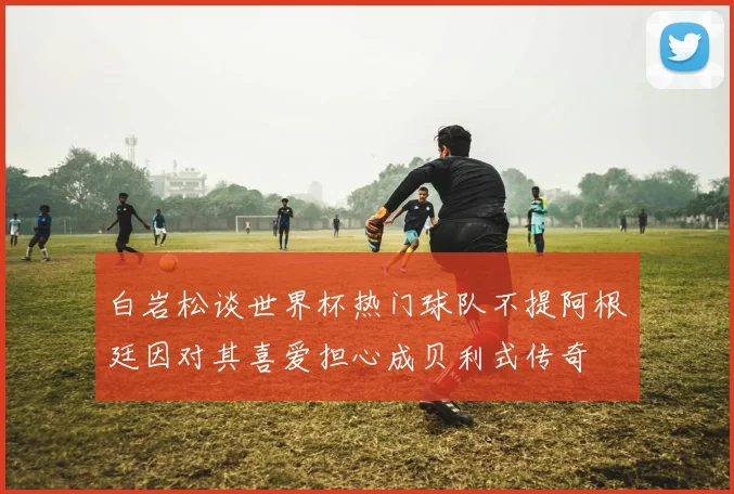 白岩松谈世界杯热门球队不提阿根廷因对其喜爱担心成贝利式传奇